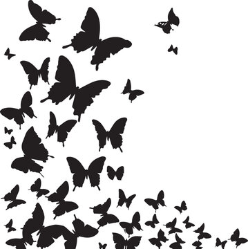 Silhouette of flying Butterfly set on white background