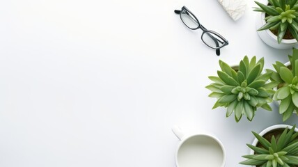 A plant in a white pot sits on a white table with glasses. The plant is green and has a leafy appearance. Blank copyspace background concept.