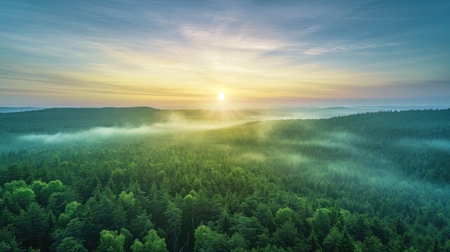 The top view picture of the wild nature that fills with green forrest, great mountain, cloudscape, blue sky, and the sun in the bright morning day in the summer or spring time of the years. AIGX01.