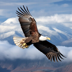 Obraz premium Bald Eagle flying in the sky with clouds. 3d rendering