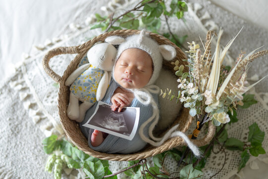 Newborn photo of a newborn baby who is 8 days old, half Taiwanese and half Australian, wearing dragon and rabbit costumes and sleeping in a basket with an echo photo 生後8日の台湾人とオーストラリア人のハーフの新生児の赤ちゃんが龍やウ