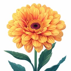Flat Design, Beautiful Gerbera Flower Illustration, Vector Style.