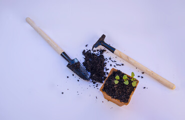 Seedling planting equipment with soil, pulp fibre pot , dig,shovel etc., 