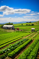 Fototapeta na wymiar Bountiful Harvest: A Snapshot of Sustainable Organic Farming