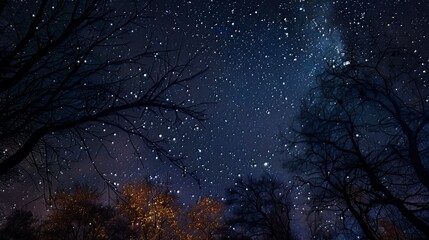 The surreal beauty of a star-filled night sky, untouched by light pollution.