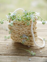 fresh herbs on a table