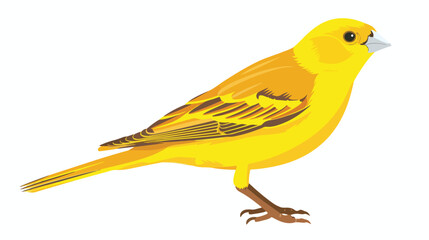 Canary Yellow bird Flat vector isolated on white background