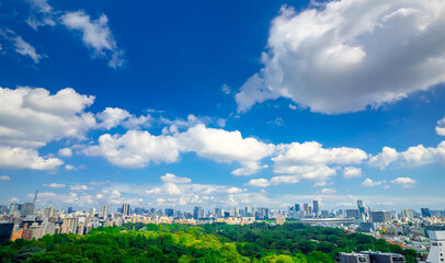 東京都市風景　青空と木漏れ日踊る雲