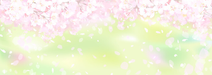 Obraz na płótnie Canvas 桜と新緑