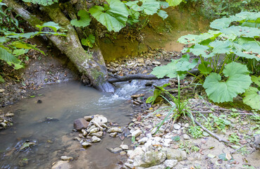 walking along the bed of a mountain river with a visit to unexplored places and sources of drinking water
