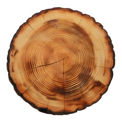 wood Slices isolated on transparent background Generative Ai