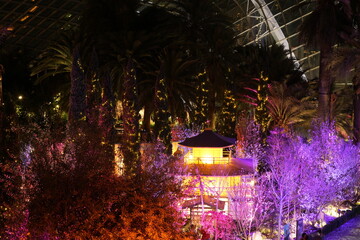 Fototapeta premium house at night