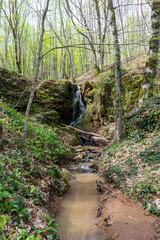 Spring walks in nature on a dirt road leading to the forest.