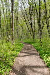 Spring walks in nature on a dirt road leading to the forest.