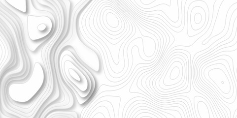 White wave paper curved reliefs abstract background. The topographic map contour in lines isolated. Abstract white topographic map background with lines. Background of the topography map. - obrazy, fototapety, plakaty