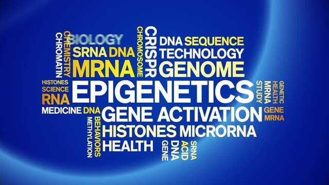 Epigenetics animated word cloud;text design animation tag kinetic typography seamless loop.