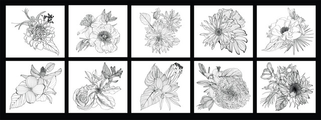 Wildflower line art bouquets set. Hand drawn flowers, meadow herbs, wild plants, tropical plants, botanical elements for design projects. Big set with flowers in frame illustration. - 769393166