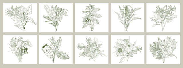 Wildflower line art bouquets set. Hand drawn flowers, meadow herbs, wild plants, tropical plants, botanical elements for design projects. Big set with flowers in frame illustration. - 769393193