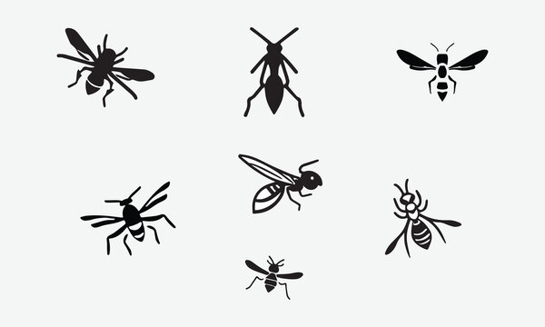 Illustration Beewolf Black icon design