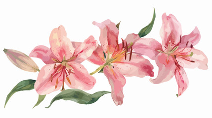 Beautiful Original Watercolor of Pink Lillies Flat vector