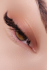 Close up of blue woman eye with beautiful brown with red and orange shades smokey eyes makeup. Modern fashion make up.