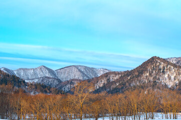 青空の下の冬の終わりの田舎の風景。