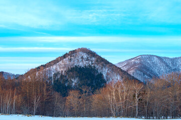 青空の下の冬の終わりの田舎の風景。