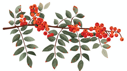 Branch with berries. Rowanberry. Flat vector 