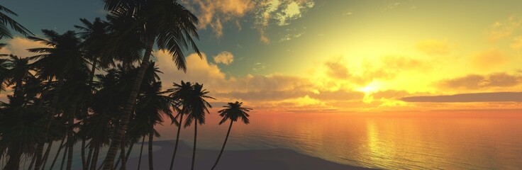 Sea sunset over the water surface with palm trees on the beach - 769400543
