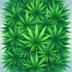 Cannabis marijuana hemp leaf green background medicine weed herb - obrazy, fototapety, plakaty