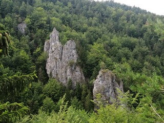 Slovak montain Terchova