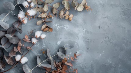 Dried botanical composition with cotton flowers and eucalyptus on a textured blue background