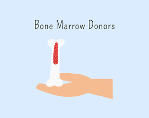 Human organ donation for transplantation concept with hand, suitable for medical banner, infographics and education. Bone marrow donor. organ donation concept. 