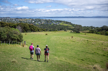 Fototapeta na wymiar People walking across farmland to panoramic views of the Hauraki Gulf. Shakespear Regional Park. Auckland Region. New Zealand.
