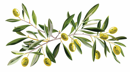 Illustration of olive brunch isolated on white Flat 