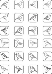 Fototapeta premium pack of birds icon vector illustration isolated in white background 