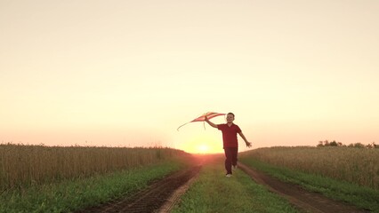 child kid baby boy runs across field with rainbow kite hands sunset, children's dream flying,...