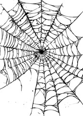 Vector illustration of a Coweb for halloween decoration. Spooky Vibes. Web. Spider.