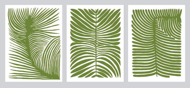 Exotic Palm Print. Abstract Leaves and branches of Palm trees. Tropical leaf background. Green foliage, tropic leaves pattern. vector illustration