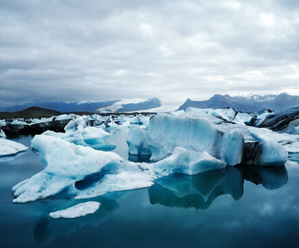Icebergs in a body of water