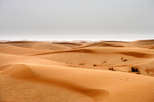 Sand dunes in United Arab Emirates