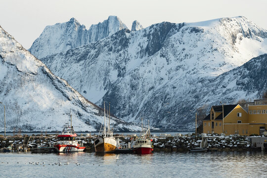 Boats moored at harbor while snow covered mountains in background