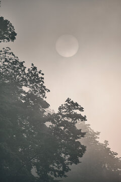 Sunrise through mist in Gifu Japan