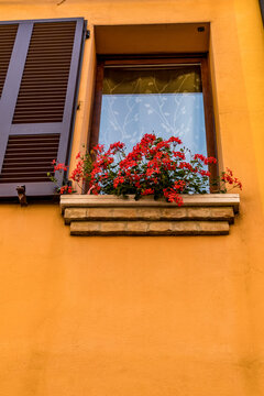 Potted flowers in bloom, Comacchio, Country Italy, Region Emilia-Romagna, Province Ferrara (FE)