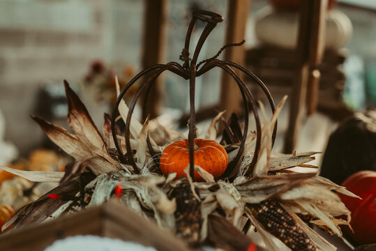 Wire pumpkin decor with pumpkin inside on top of corn cob decors - Powered by Adobe