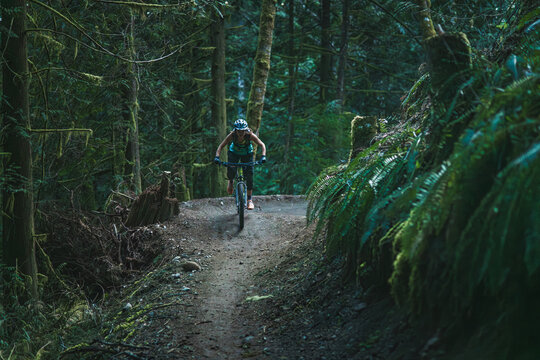 Woman riding mountain bike on trail in the forest