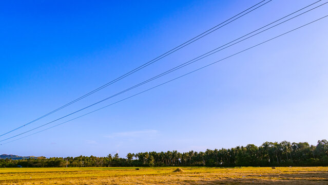Large field on a blue sky. Romblon, Philippines