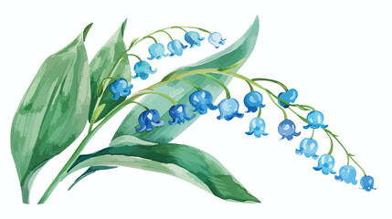 Watercolor Blue Lily of the Valley Flat vector