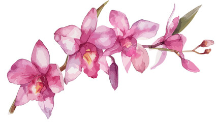 Watercolor Dendrobium Orchid Flat vector isolated on