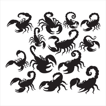 set of silhouettes of scorpion